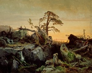 Sterbender Urwald