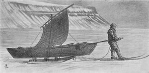 Purje kelkoineen. Cape Richthofenin eteläpuolella. 6. kesäkuuta 1896, 1897