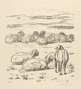 lampaat