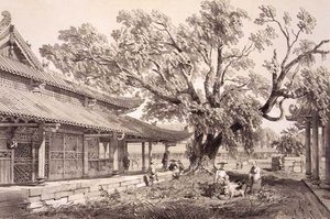 Buddhan temppeli Kantonin Honanin esikaupungeissa, levy 24 julkaisusta "Sketches of China", kaiverrus Eugene Ciceri (1813-90) 1842 (sävytetty litho)