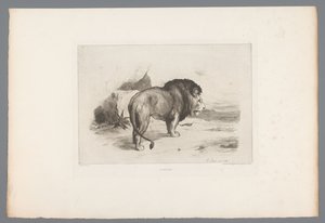 Leijona Un vieux lion (otsikko esineessä) Ranskalaiset etsaukset vuodelta 1874 (sarjan nimi) L