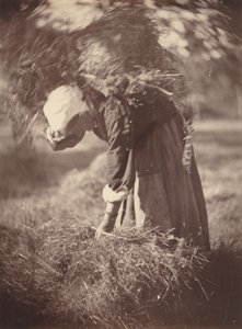 Talonpoika, n. 1870.