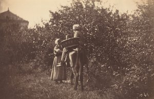 Kaksi naista aasin kanssa, 1870-luvun loppu.