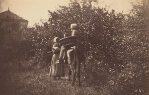 Kaksi naista ja aasi, 1870-luvun loppu (kuva)
