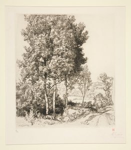 Petit Morinin laakso lähellä Verdelotia (Seine-et-Marne) (Pieni Morinin laakso lähellä Verdelotia [Seine-et-Marne]) tekijältä Auguste Lepere
