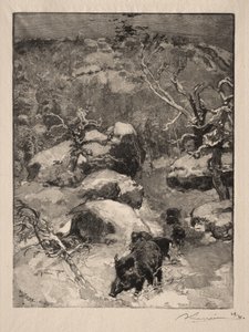 Roche Cuvier Chatillon tekijältä Auguste Louis Lepère
