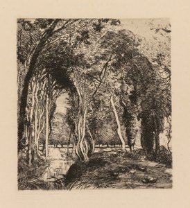 Auguste Lepère: Aluskasvillisuus, Rigonette Vendèe. tekijältä Auguste Louis Lepère