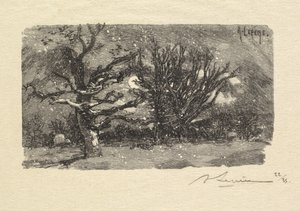 Fontainebleaun metsä: Au dormoir de Lantara (La Forêt de Fontainebleau: Au dormoir de Lantara) tekijältä Auguste Louis Lepère
