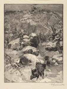Fontainebleaun metsä: Cuvier-Châtillonin kallio tekijältä Auguste Louis Lepère