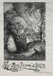 La Ravine kesäkuussa 1913. tekijältä Auguste Louis Lepère