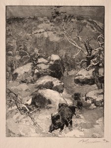 Roche Cuvier Chatillon tekijältä Auguste Louis Lepère