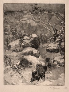 Roche Cuvier Chatillon, 1887. tekijältä Auguste Louis Lepère