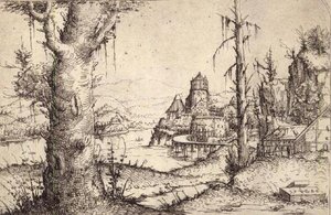 P.9-1993 Jokimaisema, jossa on järeä puu tekijältä Augustin Hirschvogel
