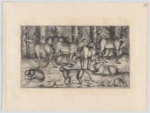 Hirvet metsässä, 1545. tekijältä Augustin Hirschvogel