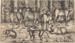 Hirvet metsässä, 1545. tekijältä Augustin Hirschvogel