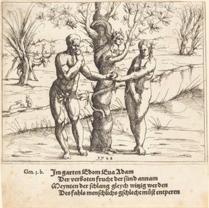 Ihmisen lankeemus, 1548. tekijältä Augustin Hirschvogel