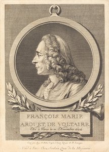 Voltairen Francois Marie Arouet tekijältä Augustin de Saint Aubin after Jean Baptiste Lemoyne II