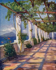 Pergola (värilitro)