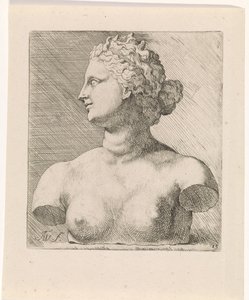 Venus de