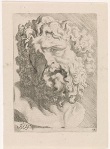 Laokoonin johtaja Tutkimuksia piirustuskirjaan Anthony van Dyckin klassisten veistoksia ja hahmoja varten (sarjan nimi)