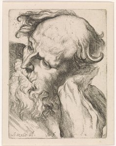 Vanhan miehen pää (Joseph) Tutkimuksia piirustuskirjaan Anthony van Dyckin klassisten veistoksia ja hahmoja varten (sarjan nimi)