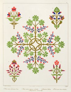 Ruusukuvioinen tapettisuunnittelu, painatus M. und N. Hanhart tekijältä Augustus Welby Northmore Pugin