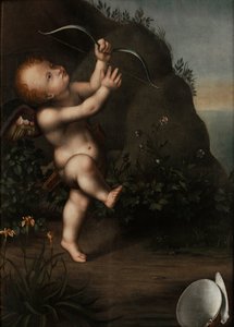 Amor jousella, ennen vuotta 1593