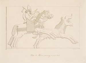 Soturi jahtaamassa villihärkää, Monuments of Niniven pubista. 1849 tekijältä Austen Henry Layard