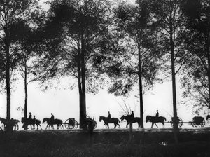 Näkymä siluetissa australialaisista ammuksilla ladatuista tykistöistä, jotka etenevät pitkin Ypres Roadia, 25. syyskuuta 1917 tekijältä Australian Photographer