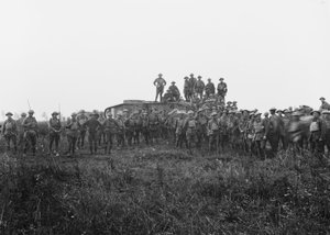 Ulkona ryhmämuotokuva panssarimiehistöstä ja joistakin 5. Australian jalkaväkiprikaatin jäsenistä, 8. elokuuta 1918 tekijältä Australian Photographer