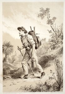 Digger on the Tramp, David Blairin, McGradyn, Thomsonin ja Nivenin Australasian historiasta, 1879