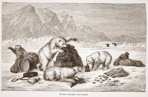 Jääkarhut hyökkäävät matkatavarapubiimme. Wien 1876 (kaiverrus) tekijältä Austrian School
