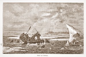 Taistelu mursun kanssa, 1876 tekijältä Austrian School