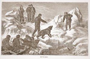 Metsästys koirien kanssa, 1876 tekijältä Austrian School