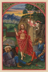 Ylösnousemus D N J Chr (kromoliitti) tekijältä Austrian School