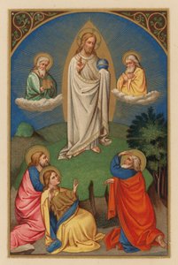 Transfiguratio D N J Chr (chromolitho) tekijältä Austrian School