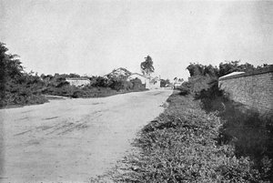 São Bernardon siirtokunta, São Bernardo do Campon siirtokunta, 1895