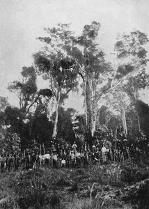 Neitsyt Matta, 1895