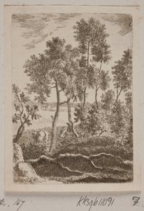 Metsäalue