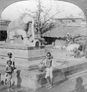 Elefantin suihkulähde, Madura, Intia, 1901.