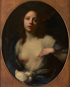 Nuoren tytön maalaus valkoisella kyyhkyllä (öljy kankaalle) tekijältä Baldassare (1611 89) Franceschini