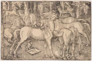 Seitsemän hevosen ryhmä, 1534. tekijältä Baldung