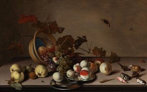 Hedelmäasetelma pajukorilla, simpukoilla ja perhosella, 1600-luvun ensimmäinen puolisko. tekijältä Balthasar van der Ast