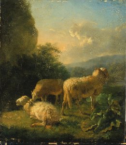 Lampaat