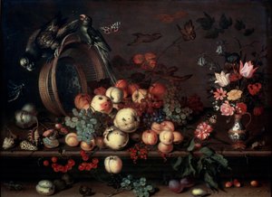 Asetelma hedelmien, kukkien ja papukaijoineen, 1620-luku tekijältä Balthasar van der Ast