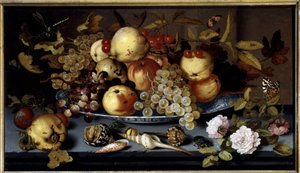 Hedelmien, kukkien, kuorien ja hyönteisten asetelma. Balthasar Van Der Astin (1590-1656) maalaus Ec. Hol