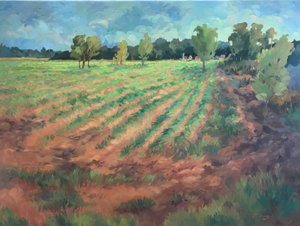  tekijältä Barbara Cleary