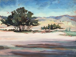  tekijältä Barbara Cleary