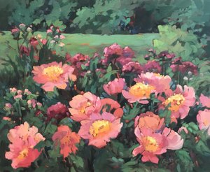  tekijältä Barbara Cleary