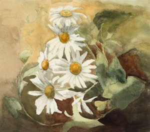 Daisies (akvarelli kudospaperille)